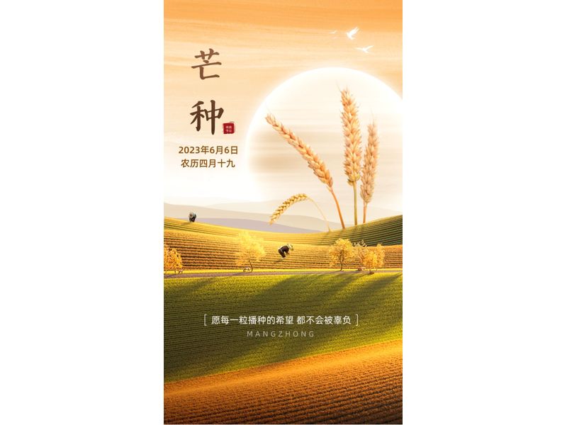 风吹麦浪芒种时，麦香深处有希望