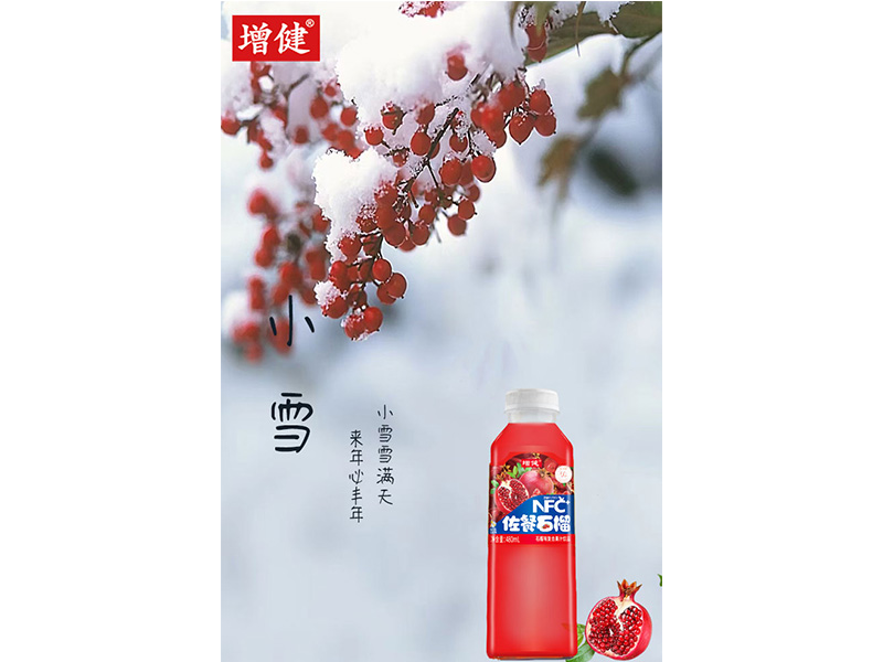 有冬要来  有雪如诗