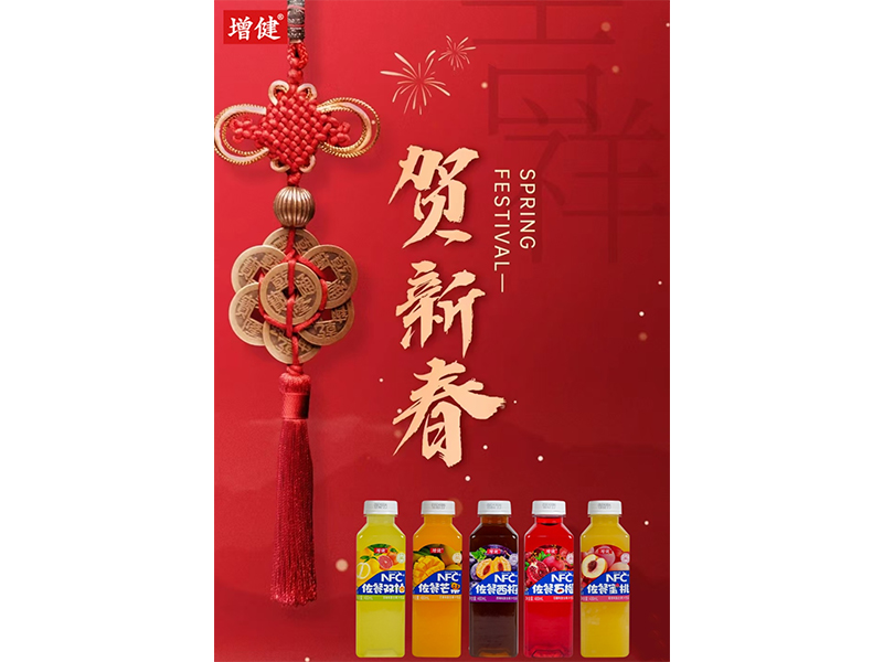 欢天喜地拜新年 走亲访友贺新春
