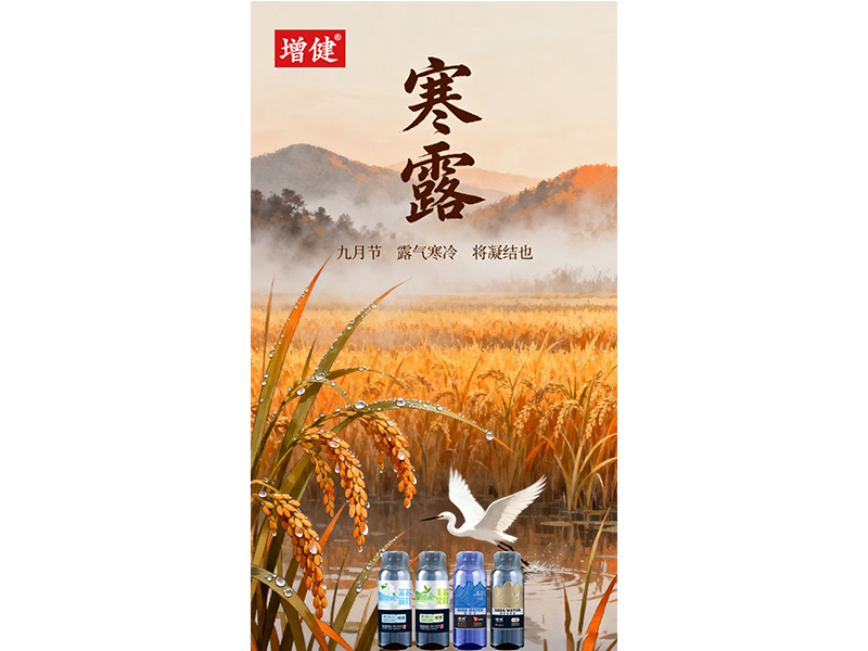 夜露凝寒 万物皆秋