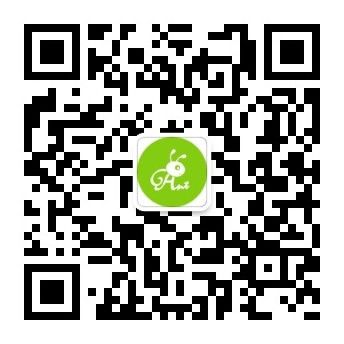 图片4