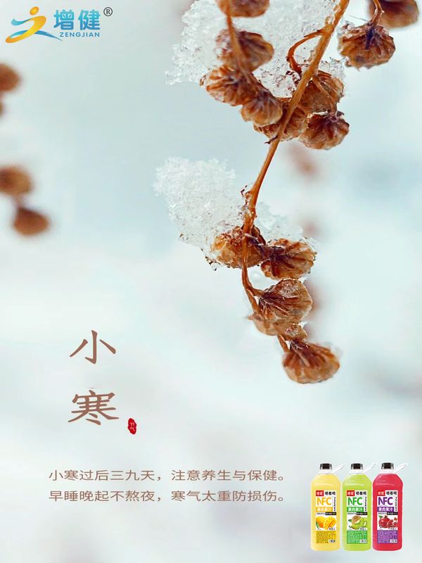 图片3