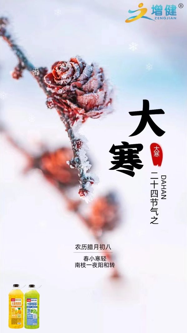 图片3